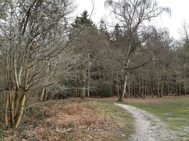 Sleepy Hollow – Warren Hill, known to many locally as Sleepy Hollow, has a mix of National Trust woodland, broad paths, grassy glades and heath. Great for running round and a place well known for bivouacking
