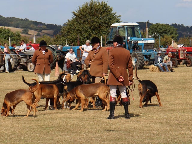 Rye Country Show 2026 in aid of St Michael's Hospice. Photo by Kevin Boorman