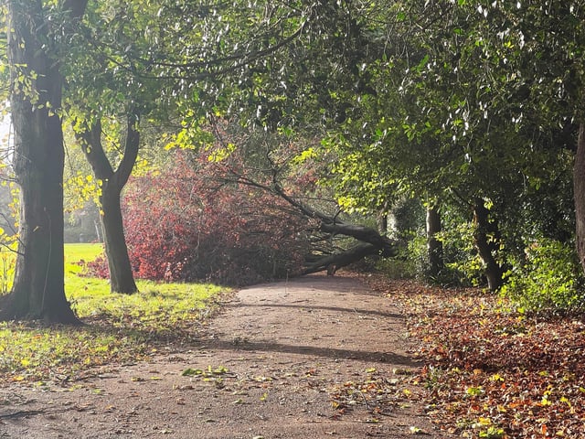 Brighton, Chichester, Worthing (pictured), Hastings, Eastbourne and Shoreham (pictured) and other places across the county have all been affected by the heavy rain and winds brought by Storm Claudio.