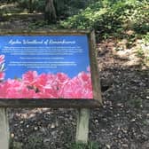 The Remembrance Garden at Tilgate Park