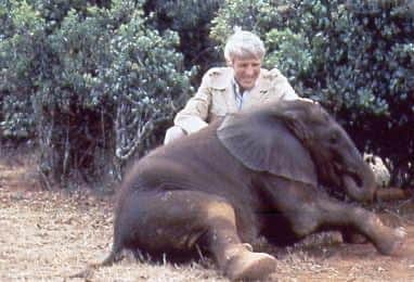 Dr Bill Jordan, founder of the Horsham-based international charity Care for the Wild