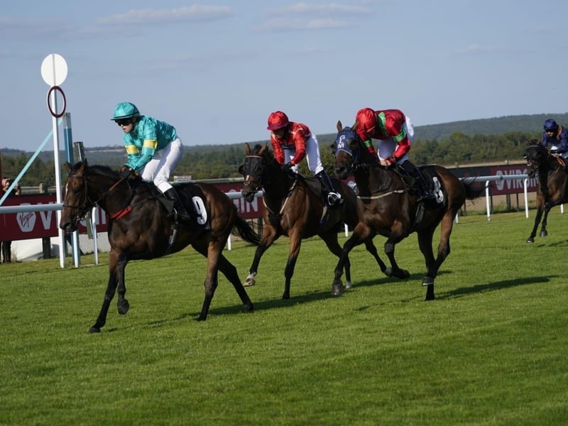 Friday evening racing kicks off bank holiday weekend at Goodwood