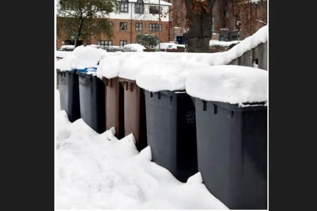 Disruption to bin collections in Eastbourne and Wealden (photo from WDC)