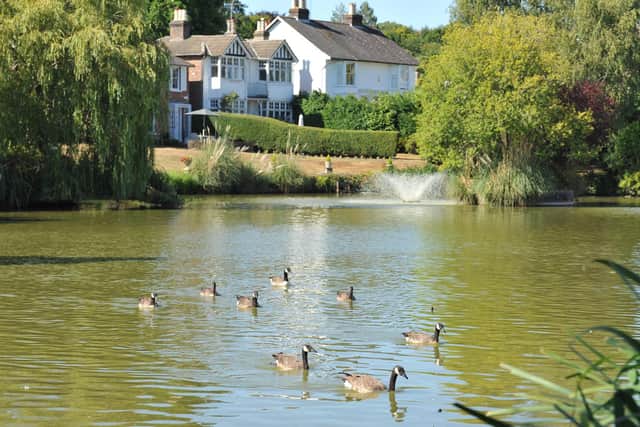 Mid Sussex District Council announced a Spacehive page to raise funds for a duck house on Lindfield pond