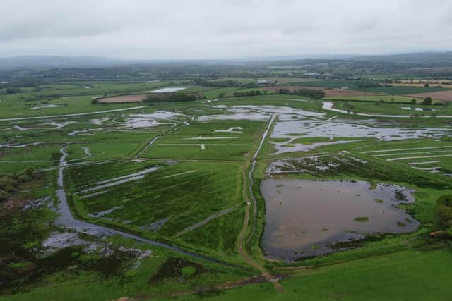 RSPB Pulborough Brooks