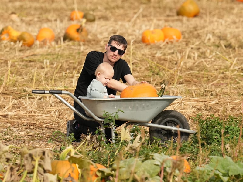 Based at Lychpole Farm just off the A27, family-run picking patch Sompting Pumpkins is open for business again this year. Picture: Eddie Mitchell