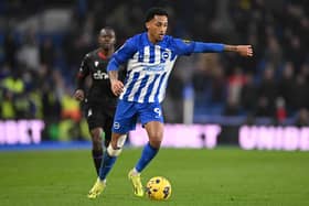 Joao Pedro of Brighton continues to be sidelined with a thigh injury