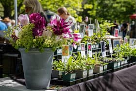 Specialist Spring Plant Fair at Borde Hill