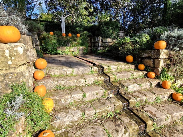 Borde Hill Halloween event and autumn colour. HR26111901 Pic Hollie Robards/Iconic Media Group