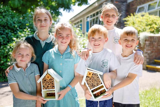 Dandara has donated two bee and bug hotels to Yapton CE Primary School