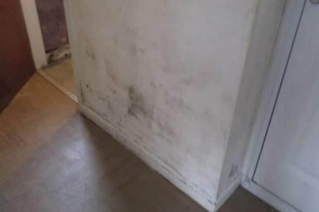 Mould inside Sara-Jae Gumbley's home