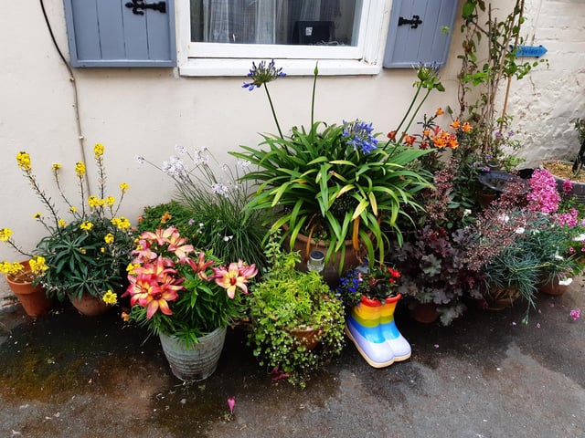 Floral splendour at Brunswick Cottages, a tiny courtyard of four fishermen's houses off the twitten that marks the historic boundary between Worthing and Heene
