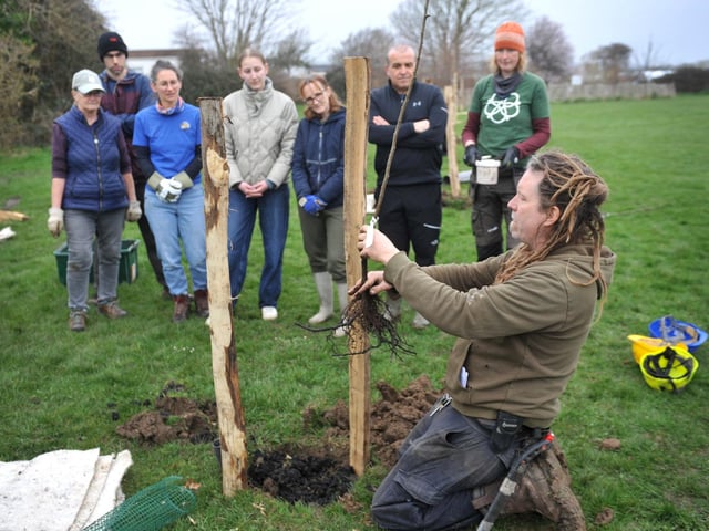 Planting trees in the new community orchard with Stephan Gehrels from Brighton Permaculture Trust