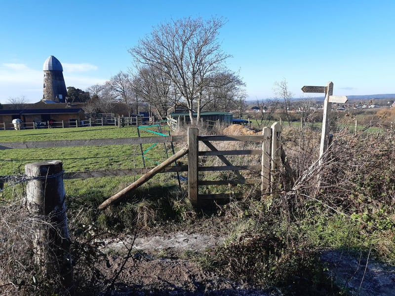 At the end, you will have to turn left to walk south, with the paddocks on your right.