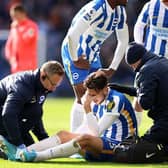 Brighton midfielder Jakub Moder is making progress after almost a year out with a ACL injury