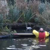 Rescuers rushed to Hastings on Thursday (October 27) afternoon after receiving reports that a duck had been spotted trapped in a floating mesh planter island in the middle of Shornden Reservoir in Alexandra Park. Pictures courtesy of East Sussex WRAS
