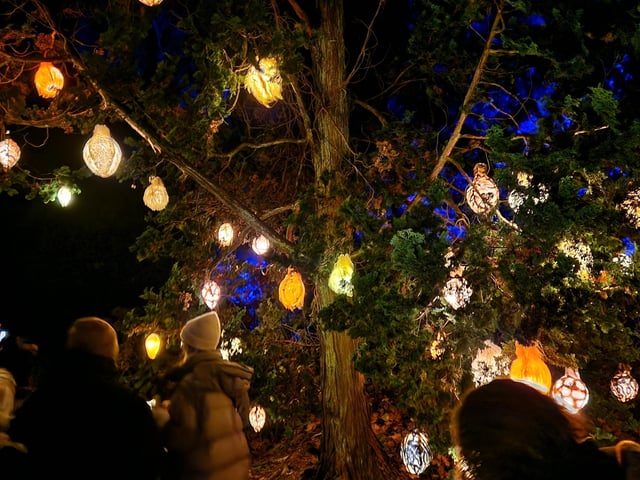 Leonardslee Lights 2024 transports guests into an enchanting world as the gardens come alive with stunning illuminations, captivating large-scale installations, mesmerising fountains and more