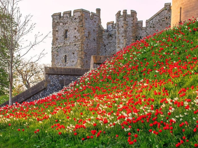 Castle grounds