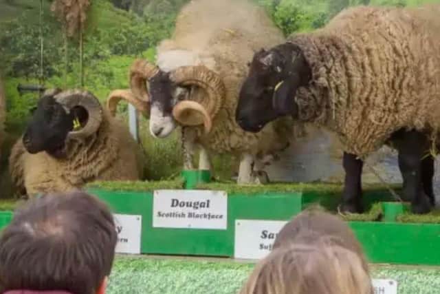 Opinion: Spring Live! – A celebration of the countryside returns to ...