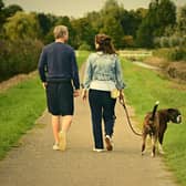 Crufts has announced its support for the Stand Up To Cancer ‘Walkies Challenge’ and is asking owners and their four-legged friends to step up to the challenge of walking 60 miles across the month of April. Image by Mabel Amber from Pixabay.