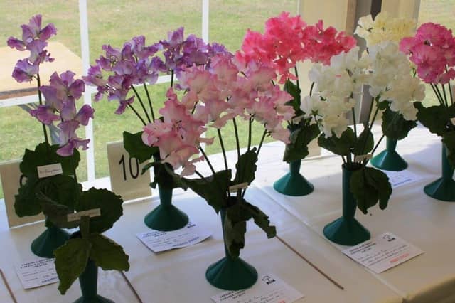 Yapton Cottage Gardeners’ Society midsummer flower and produce show was part of the annual Yapton village celebrations