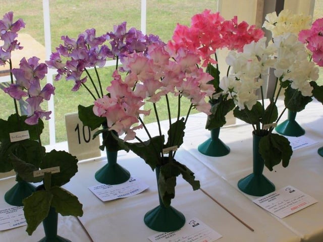 Yapton Cottage Gardeners’ Society midsummer flower and produce show was part of the annual Yapton village celebrations