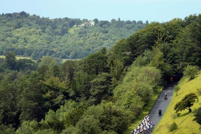 A beautiful view from Box Hill in Surrey | Picture: Getty