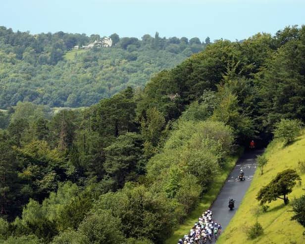 A beautiful view from Box Hill in Surrey | Picture: Getty