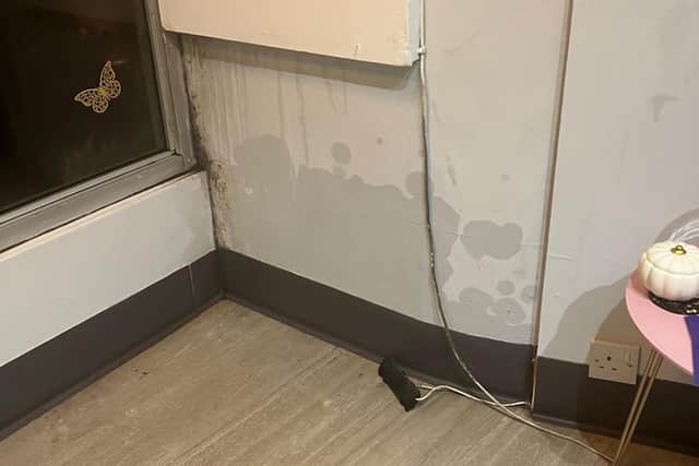 Water damage after the flood at Reflex @42 in Hassocks