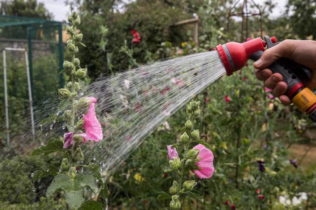 Gardeners are being given advice on how to help their plants survive as the UK begins to heat up. Picture by Matt Cardy/Getty Images