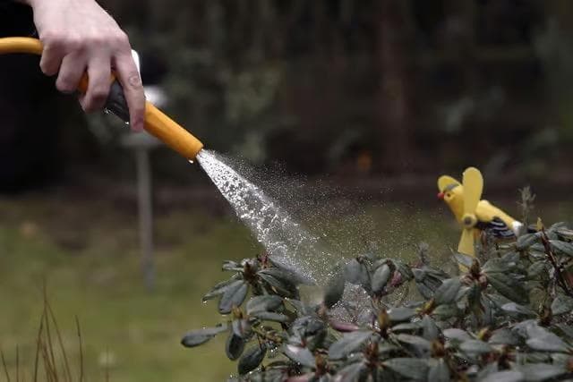 Zwei Unternehmen haben ein Verbot von Gartenschläuchen angekündigt - | ...