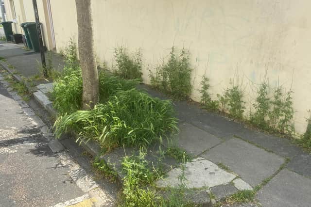 Weeds Nearly London Road Station | Picture: submitted
