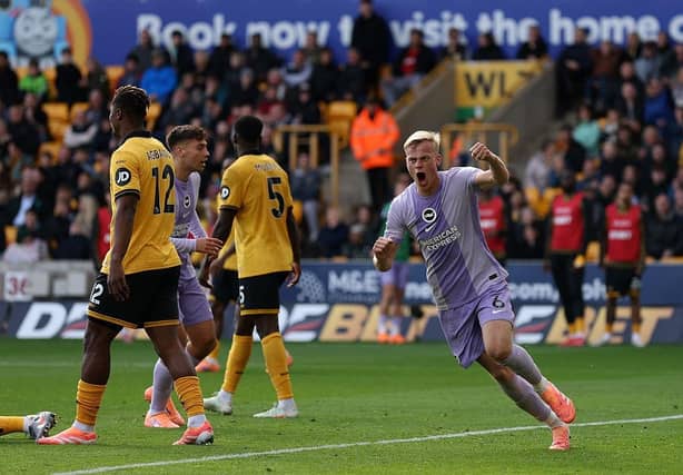 Jan Paul van Hecke’s header salvaged a point for Brighton against bottom-of-the-table Wolverhampton Wanderers.