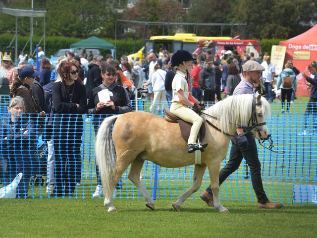 Bexhill Horse & Dog Show 2024.