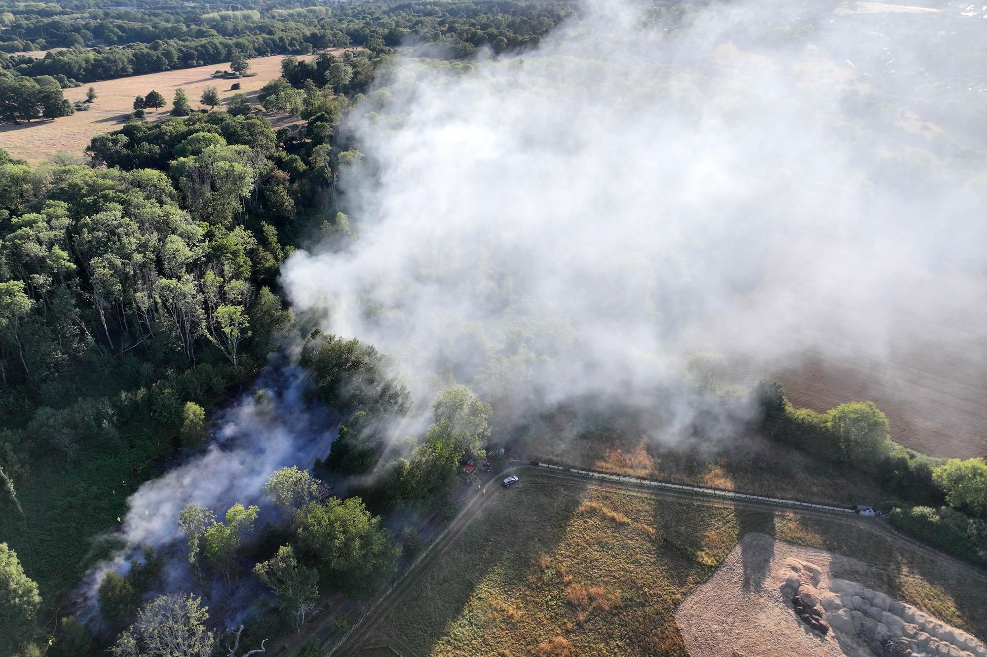 'Reports of a large fire' in West Sussex woodland