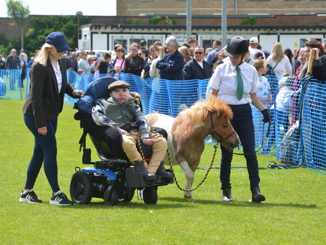 Bexhill Horse & Dog Show 2024.