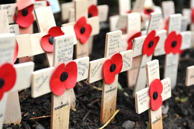 Burgess Hill remembers at the War Memorial Gardens in Church Walk, Burgess Hill.  Pic Steve Robards