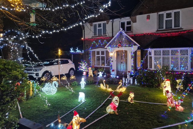 The animal-themed Christmas lights display at 22 Gorse Avenue, Worthing, has been put together by John Wollaston Landscapes and Property Maintenance to raise money for Wadars Animal Rescue Charity.