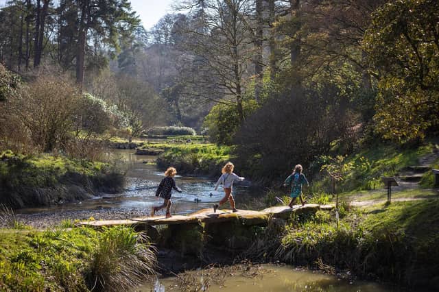 Leonardslee Lakes and Gardens is the perfect place for a family day out, with walks and a new playpark