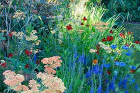 Steyning in Bloom Open Gardens