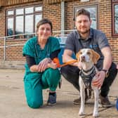 Ronnie with Anderson Abercromby vet Federico Piccinno, veterinary nurse Lynsey Tindall (left) and animal nursing assistant Hannah Page (right).