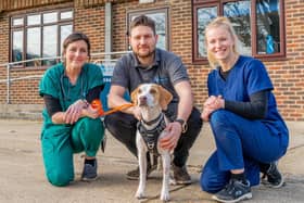 Ronnie with Anderson Abercromby vet Federico Piccinno, veterinary nurse Lynsey Tindall (left) and animal nursing assistant Hannah Page (right).