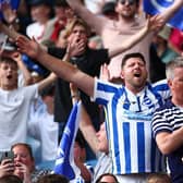 Brighton and Hove Albion fans enjoyed a ninth place finish in the Premier League last season