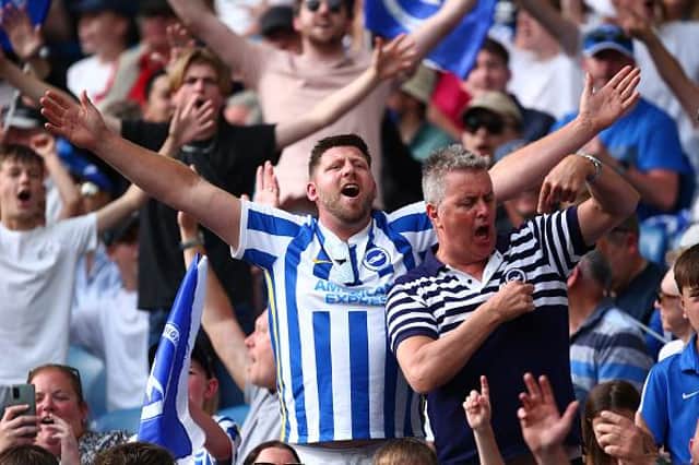 Brighton and Hove Albion fans enjoyed a ninth place finish in the Premier League last season