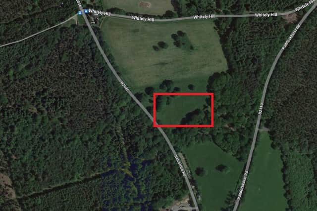 Paw Paddock Ltd submitted a planning application to Mid Sussex District Council to change the of use of agricultural land to the east of Balcombe Road and south of the M23, Haywards Heath. Photo: Google Maps