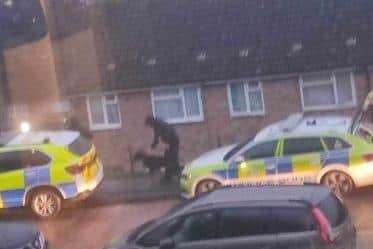 Armed police were called in to an incident which took place in a residential road in Hastings. Photo: contributed