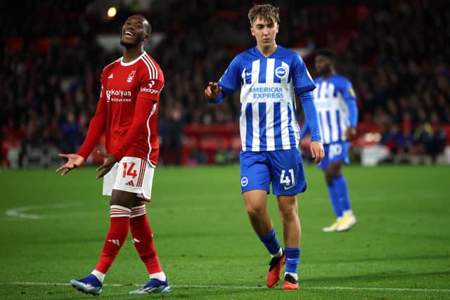 Brighton teenager Jack Hinshelwood has impressed Roberto De Zerbi (Photo by Eddie Keogh/Getty Images)