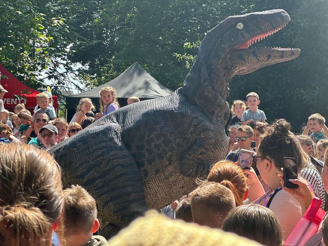 A raptor stalks her prey.