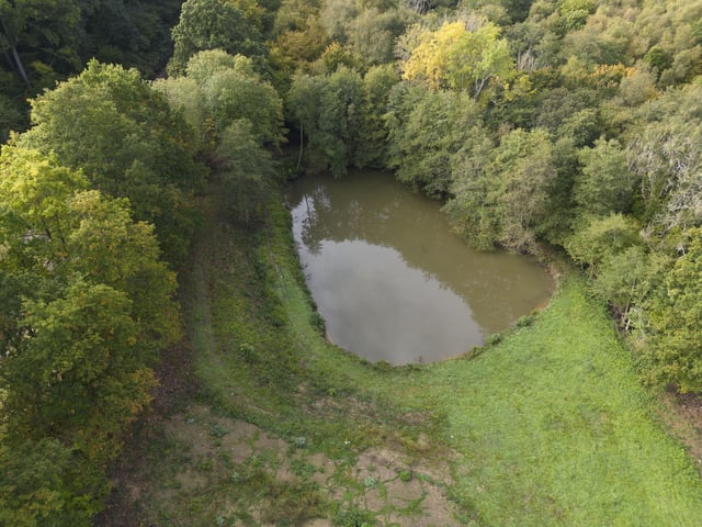 Rock Lane, St Leonards. Police searched this farm/pond for bodies and it is where they found the dead dog in the pond. Picture by Eddie Mitchell.