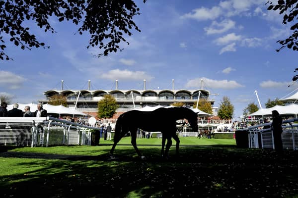 Goodwood Racecourse, which attracts some of the world's top horses to its Qatar Festival and hosts top-class racing from spring to autumn each year | Picture: Getty